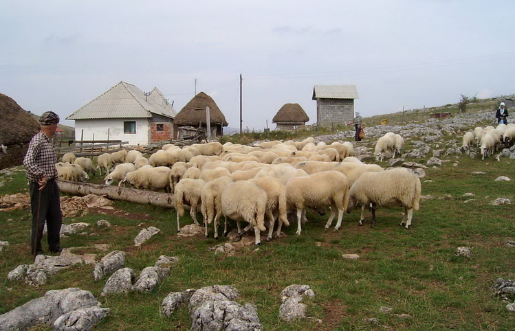 Osman Hukic sa svojim stadom