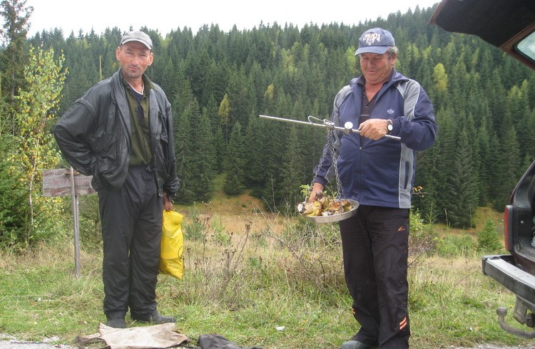 Kamena Gora 4
