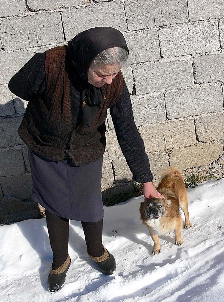 Фото: З. Шапоњић