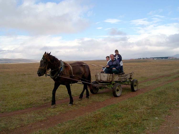 Фото: З. Шапоњић