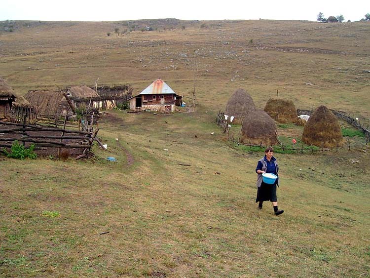 Фото: З. Шапоњић