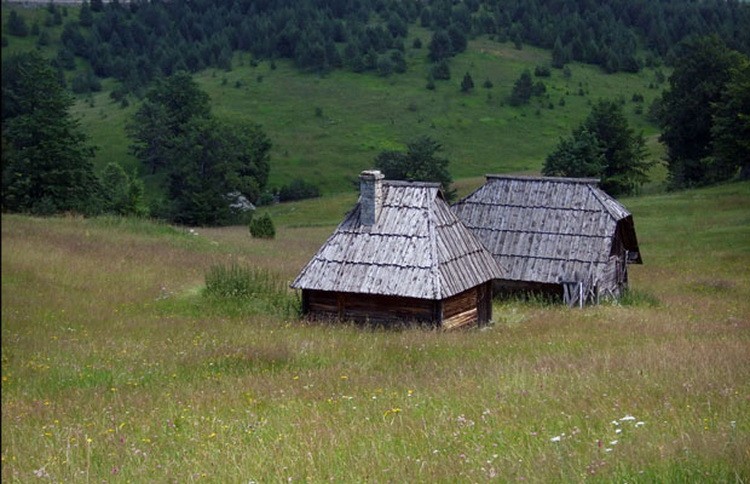 Фото: Новости