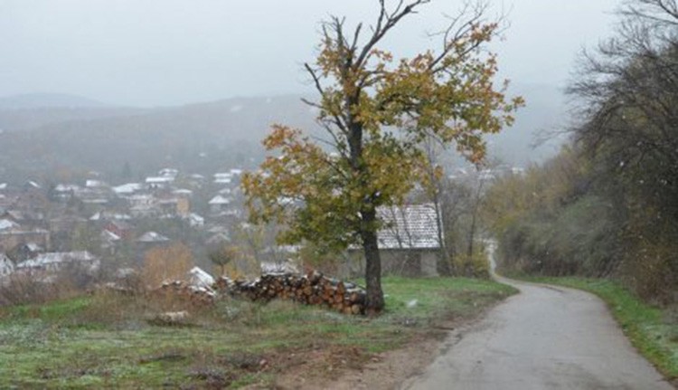 Фото: Блиц