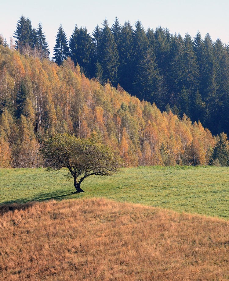 Фото: З. Шапоњић