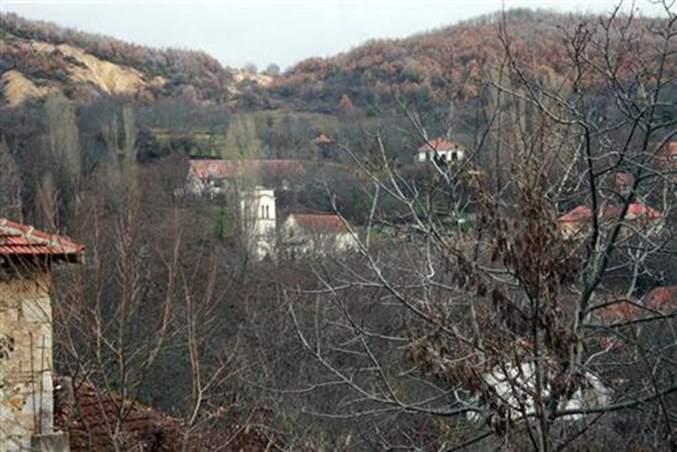Фото: Срна