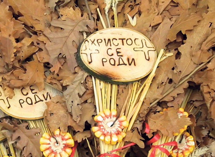 Фото: Политика