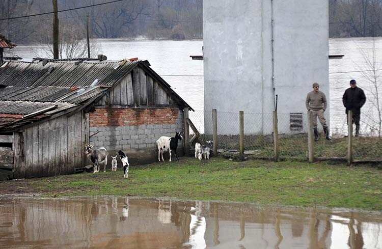 Фото: З. Шапоњић