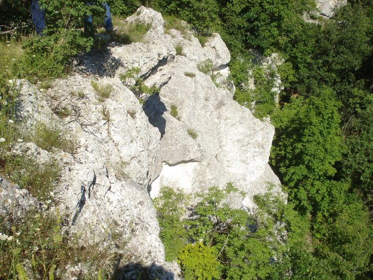 Lazovic i Peric (3)
