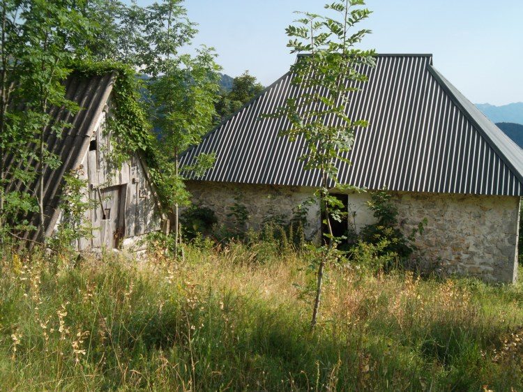 Medenica (3)