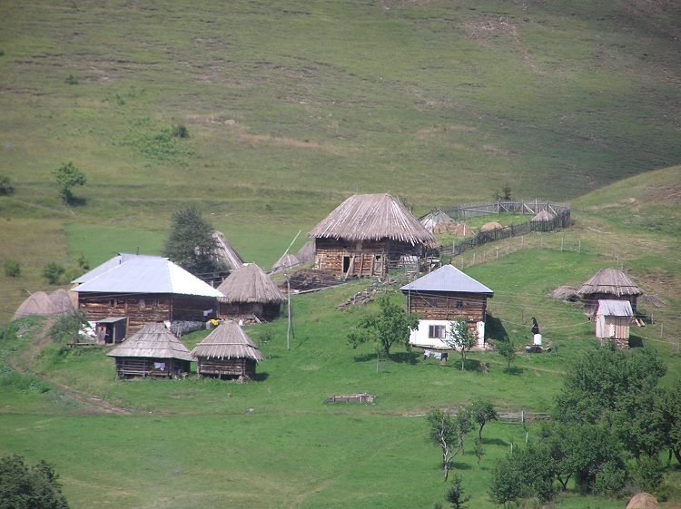 Фото: З. Шапоњић