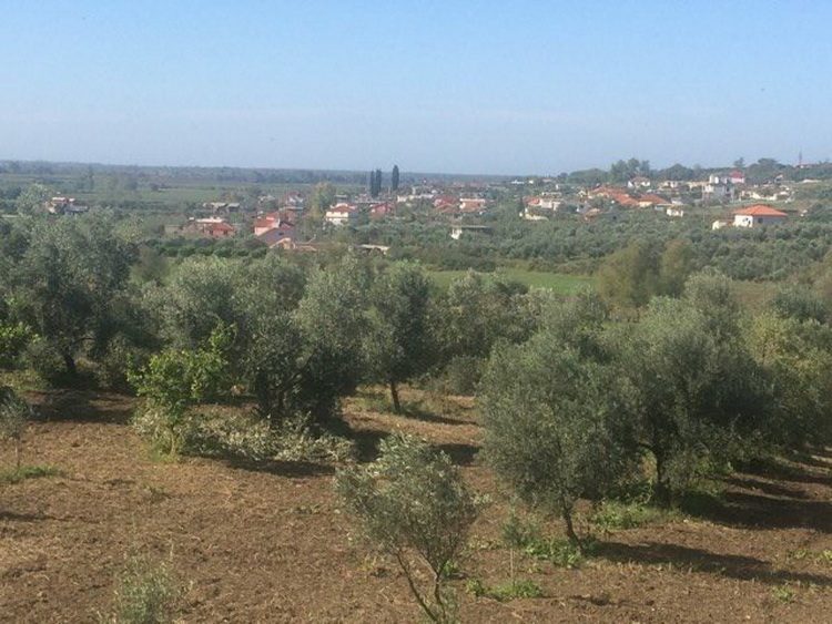 lazovic-u-albaniji-5